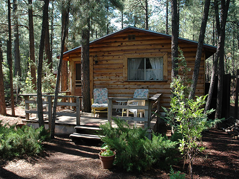 Cabin Rentals Lakeside McNary, AZ FREE 2021 List
