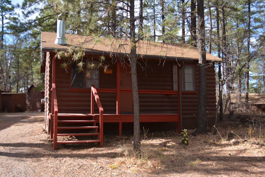 Cabin Rentals Lakeside McNary, AZ FREE 2023 List